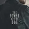 The Power of the Dog fragman izle