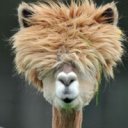 Baltaci adlı kullanıcı